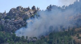 Alanya'da zirai alanda çıkan yangın söndürüldü