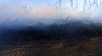 Araç yangını ormanlık alana sıçradı, ekipler alevleri büyümeden söndürdü