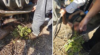 Traktörün altında kalan şahıs, ekiplerin çalışmasıyla kurtarıldı