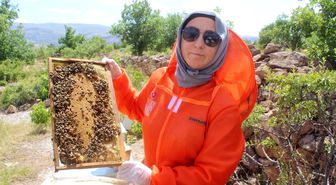 Kalp ve kanser hastası Zehra Kocabaş, arı zehrinin şifasına inanarak arıcılığa başladı