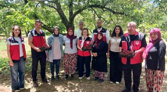 Kütahya'da organik tarım ve iyi tarım projeleri masaya yatırıldı