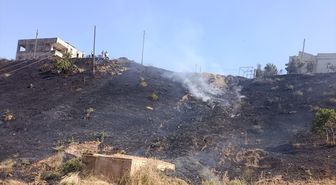 Siirt'te otluk alanda çıkan yangın söndürüldü