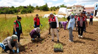 Üniversite serasında üretiliyor: Çiftçilerin geliri aromatik bitkilerle artacak