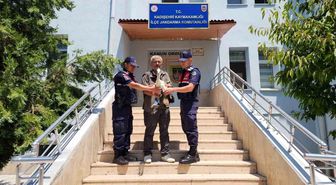Yaralı leylek tedavi altına alındı