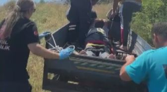 Yaylada Kiraz Toplarken Düşen Yaşlı Adam 'Patpat'la Taşındı