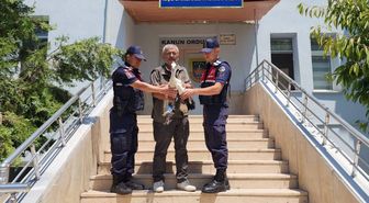 Yozgat'ta yaralı leyleği jandarma kurtardı