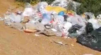 Balık tutmak için gittiği gölde çöp yığınıyla karşılaştı: Poşet poşet topladı