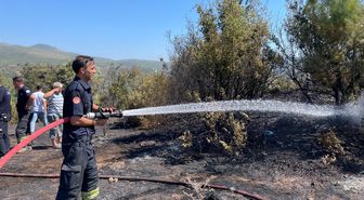 Bodrum'da makilik alanda çıkan yangın söndürüldü