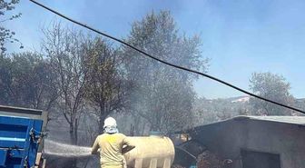 Havran Fazlıca'da korkutan yangın