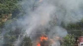 Kastamonu'da orman yangını