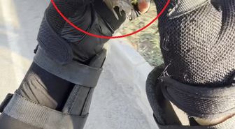 Motokurye, ağzındaki buğday tanesini çıkardığı serçeyi kurtardı