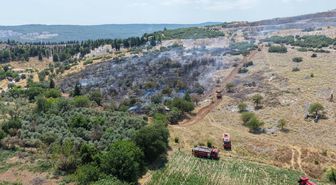Muğla'da maki yangını; alevlerden kaçan kaplumbağa taşların arasına sığındı