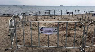 Şarköy sahilinde tespit edilen kum zambakları korumaya alındı