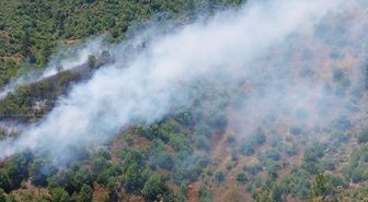 Adana'da orman yangını