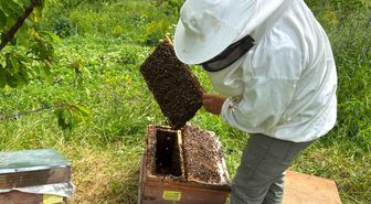 Artvin'de bal hasat sezonu öncesi üreticilerle buluşma