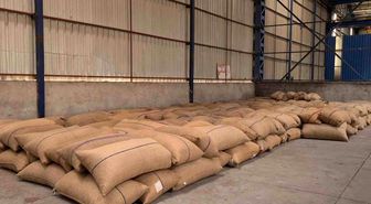 Fındıkta gözler yeni sezon fiyatında