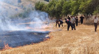Karabük'te çıkan anız yangını kontrol altına alındı