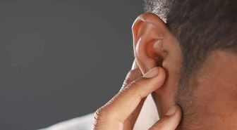 Kulağından canlı olarak çıkarıldı, doktor bile şoke oldu: Hareketliydi, doğaya bıraktık