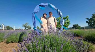 Kütahya'da lavanta bahçesi kırsal turizmin gözdesi oldu