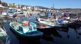 Marmara'nın emektar balıkçıları, müsilaj ve bilinçsiz avlanmadan şikayetçi