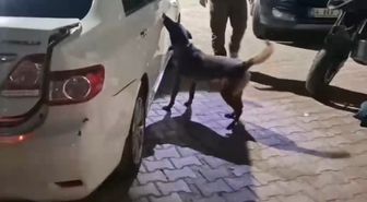 Sakarya'da uyuşturucu operasyonu: 2 tutuklama