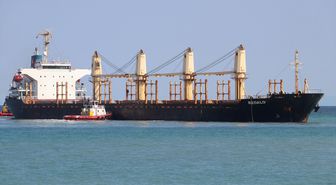 Tekirdağ'da yük gemisi karaya oturdu