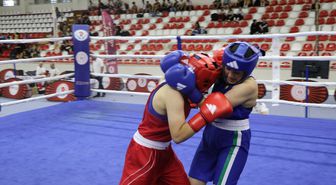 Türkiye Ferdi Boks Şampiyonası, Amasya'da başladı