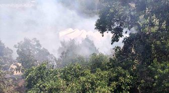 Alanya'da avokado bahçelerinin bulunduğu zirai alanda yangın