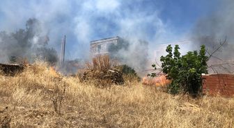 Bodrum'da otluk alanda çıkan yangın, ormana sıçradı