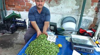 Burhaniye'de bamya üreticisine kazandırdı