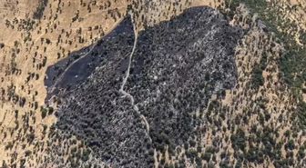 Diyarbakır'da çıkan örtü yangını dronla görüntülendi