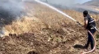 Elazığ'da 35 dönüm ekili alan küle döndü