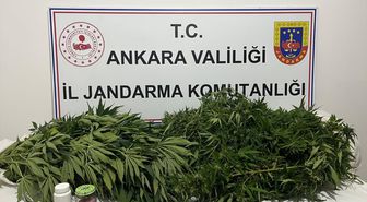 Haymana'daki uyuşturucu operasyonunda 1 şüpheli yakalandı
