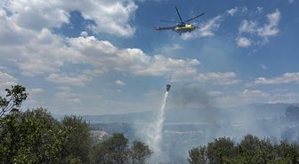 İzmir'de zirai alandan zeytinliğe sıçrayan yangın kontrol altına alındı