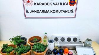 Karabük'te uyuşturucu operasyonu: Skunk serası ortaya çıkarıldı