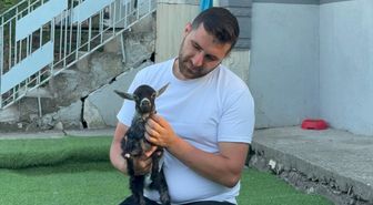 Pet shopa yem almaya giden çift, doğuştan yürüme engelli keçi yavrusunu sahiplendi