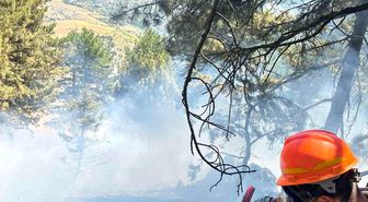 Saimbeyli'de çıkan orman yangını kontrol altına alındı