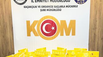 Samsun'da kaçakçılık operasyonunda 1 şüpheli yakalandı