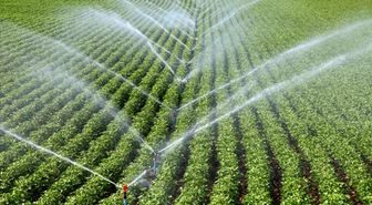 Samsun'da kırsal kalkınma yatırımlarına üreticilerden yoğun ilgi