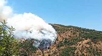 Sultanhisar'da makilik ve orman yangını