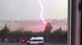 Tekirdağ'da palmiye ağacına yıldırım düştü, alev alev yandı