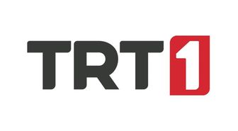 TRT 1 CANLI İZLE (FRANSA İSPANYA) TRT 1 HD kesintisiz Fransa İspanya Dünya Kupası maçı donmadan nasıl izlenir?