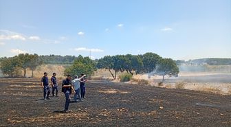 Balıkesir'de tarım arazilerinde çıkan yangın söndürüldü