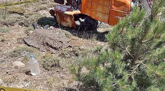 Devrilen traktörün sürücüsü hayatını kaybetti