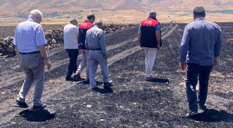 Elazığ'da küle dönen 70 dönümlük ekili alanda hasar tespit çalışmaları