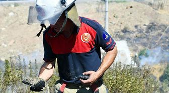 İzmir'de otluk alanda çıkan yangın, ormana sıçradı