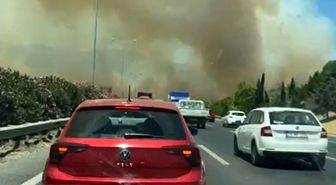 Manisa'da orman yangınında alevler İzmir-İstanbul Otoyolu'na ulaştı