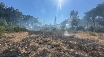 Antalya'da çıkan orman yangınında 3 dönüm alan zarar gördü