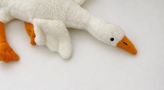 Bakanlıktan 'peluş kaz' oyuncağına yasak ve toplatma kararı