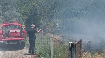 Muğla'da arazide çıkan yangın söndürüldü